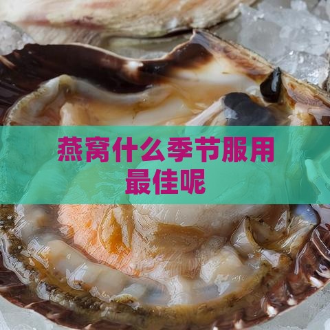 燕窝什么季节服用更佳呢