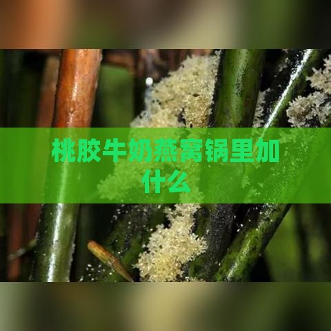 桃胶牛奶燕窝锅里加什么