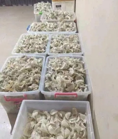 燕窝采摘到成品经过什么