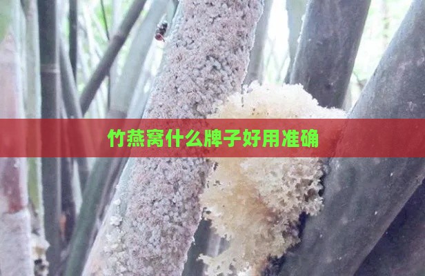 竹燕窝什么牌子好用准确