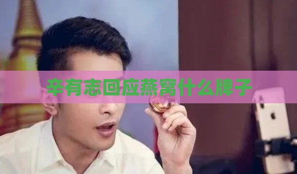 辛有志回应燕窝什么牌子