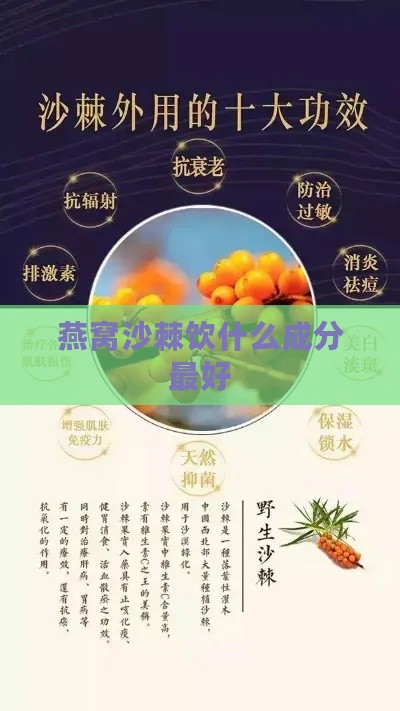 燕窝沙棘饮什么成分更好