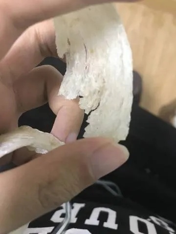 燕窝下面白色是什么虫子