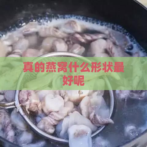 真的燕窝什么形状更好呢