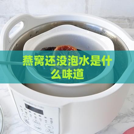 燕窝还没泡水是什么味道