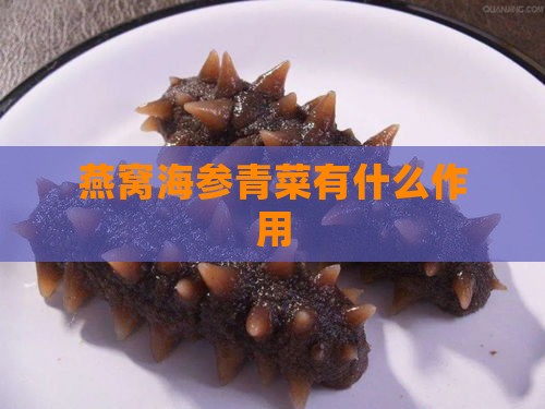 燕窝海参青菜有什么作用