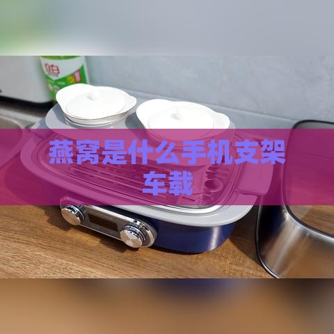 燕窝是什么手机支架车载