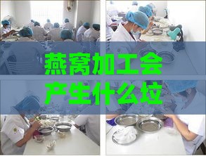 燕窝加工会产生什么垃圾