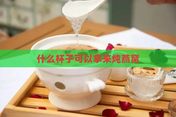 什么杯子可以拿来炖燕窝