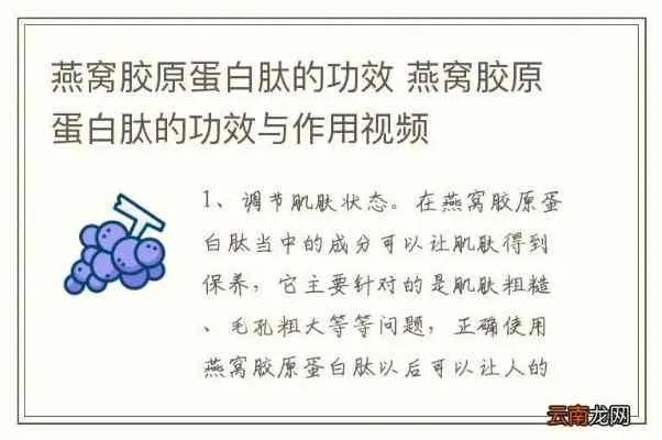 什么燕窝胶原蛋白好吸收