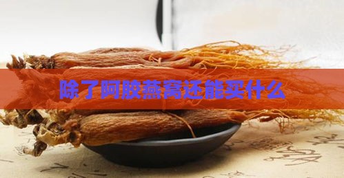 除了阿胶燕窝还能买什么