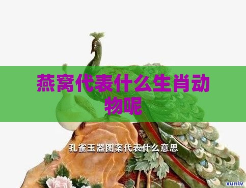 燕窝代表什么生肖动物呢