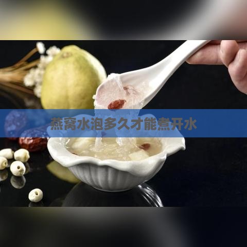 燕窝水泡多久才能煮开水