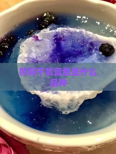 燕窝干货蓝色是什么品种