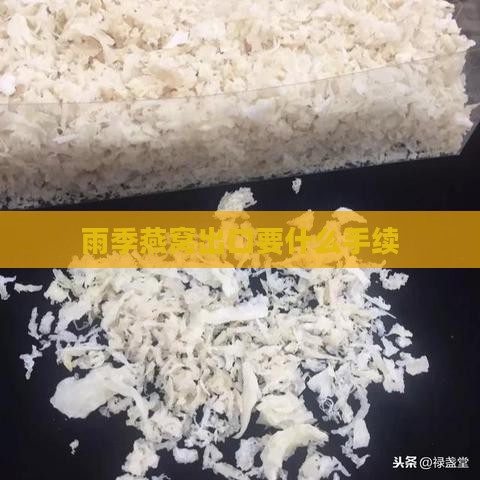 雨季燕窝出口要什么手续