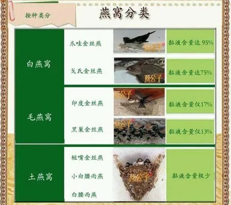 燕窝都是什么品种的燕子