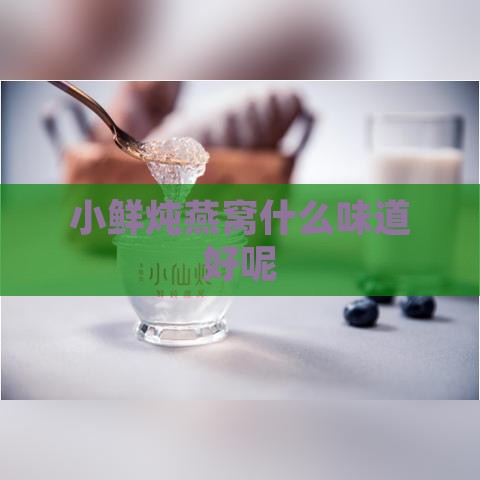 小鲜炖燕窝什么味道好呢