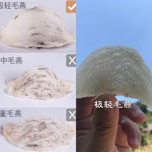 即食燕窝成份是什么意思