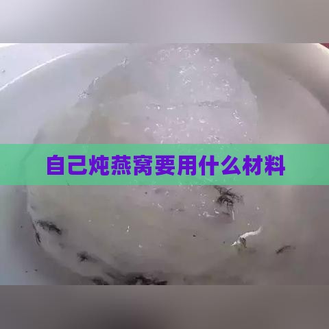 自己炖燕窝要用什么材料