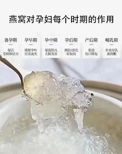 怀孕初期燕窝什么牌子好