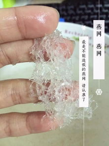 透明的颗粒像燕窝是什么