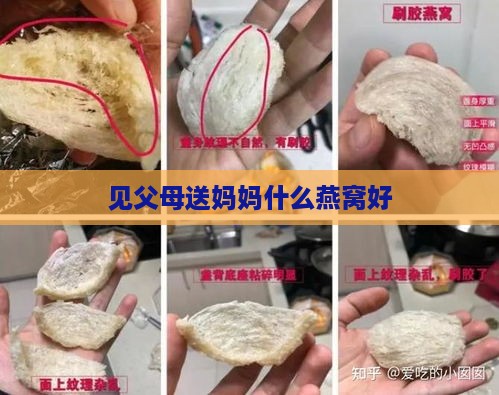 见父母送妈妈什么燕窝好