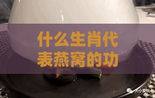 什么生肖代表燕窝的功效