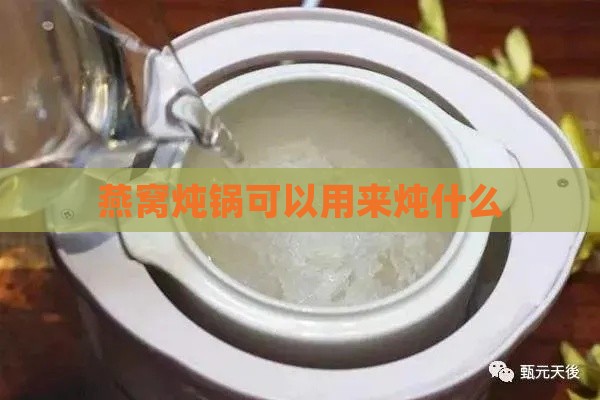 燕窝炖锅可以用来炖什么