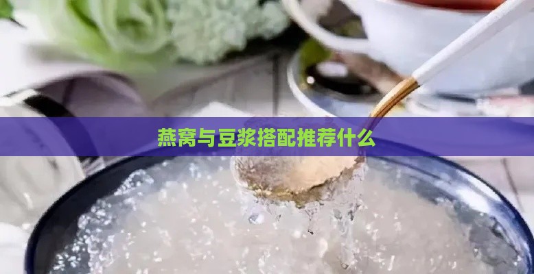 燕窝与豆浆搭配推荐什么