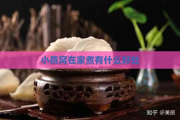 小燕窝在家煮有什么好处