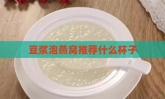 豆浆泡燕窝推荐什么杯子