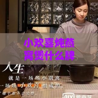 小欢喜炖燕窝煲什么牌子