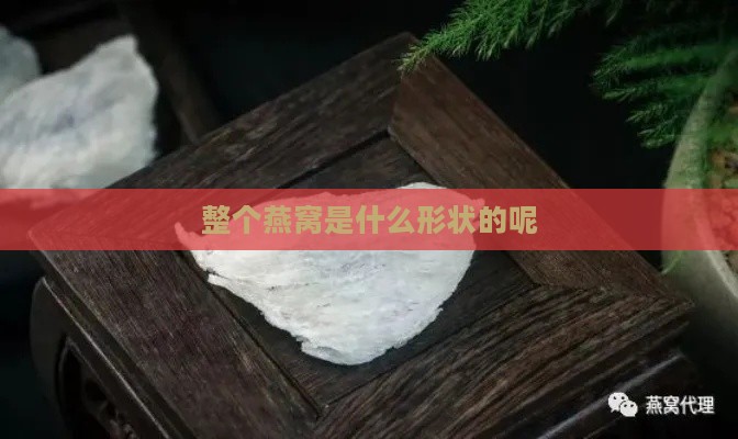 整个燕窝是什么形状的呢