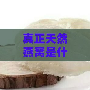 真正天然燕窝是什么做的