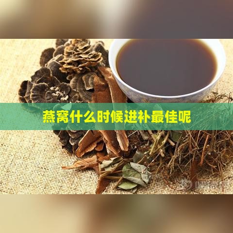 燕窝什么时候进补更佳呢