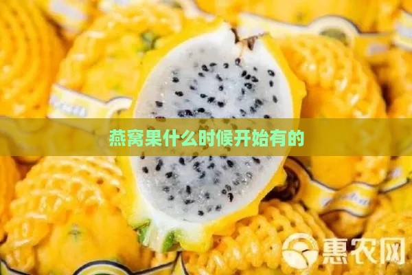 燕窝果什么时候开始有的