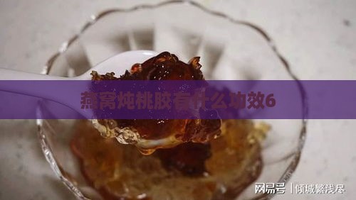 燕窝炖桃胶有什么功效6