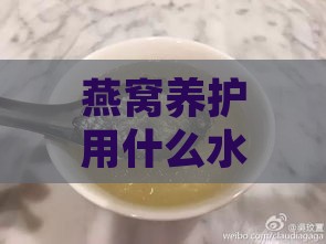 燕窝养护用什么水更好呢