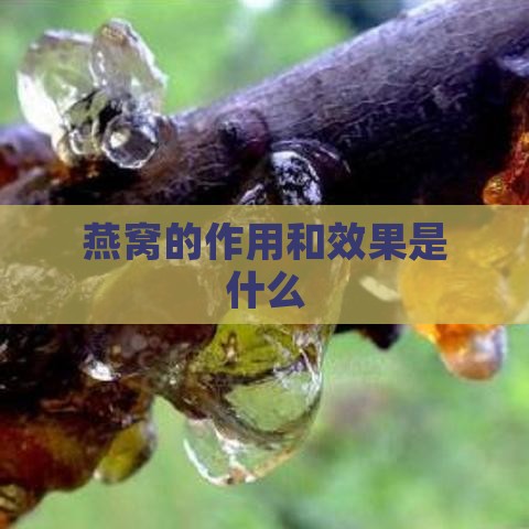 燕窝的作用和效果是什么