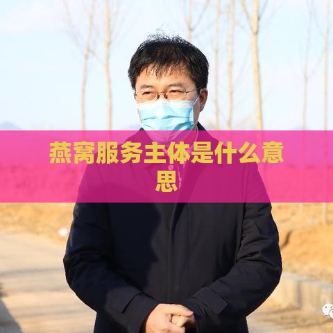 燕窝服务主体是什么意思