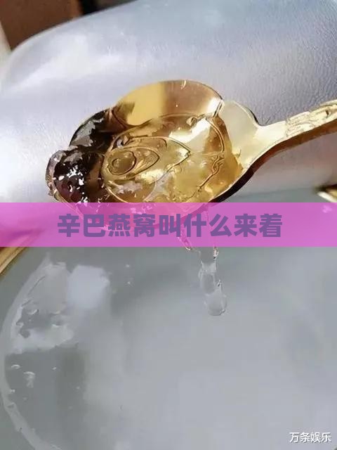 辛巴燕窝叫什么来着