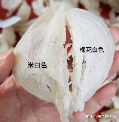 燕窝泡药水是什么味道的