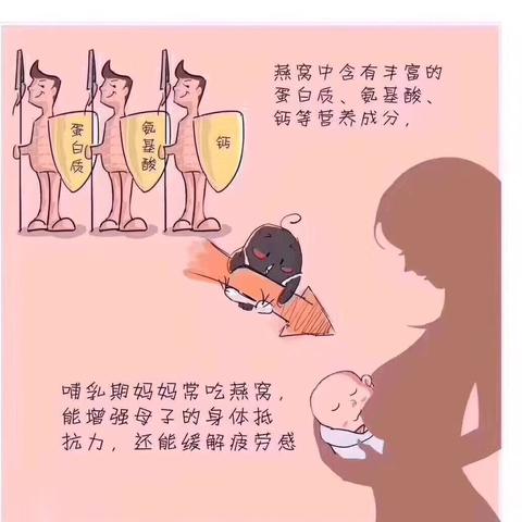 孕期什么时候喝燕窝更好