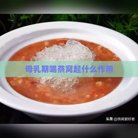 母乳期喝燕窝起什么作用