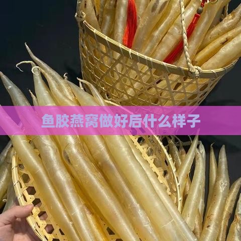 鱼胶燕窝做好后什么样子