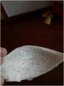 孕妇燕窝饮品什么牌子好