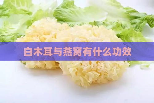 白木耳与燕窝有什么功效