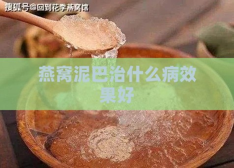 燕窝泥巴治什么病效果好