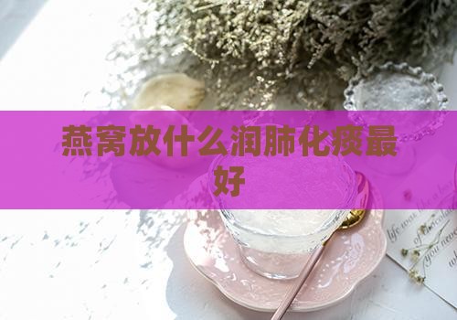 燕窝放什么润肺化痰更好