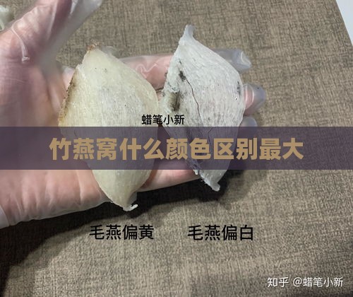 竹燕窝什么颜     别更大